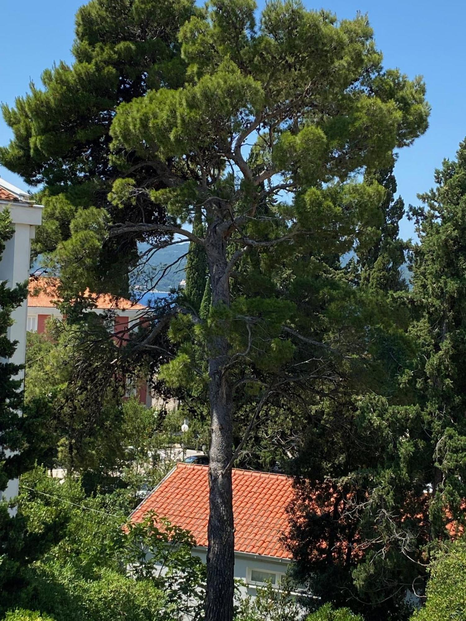 אורביץ Apartmani Dusanka מראה חיצוני תמונה