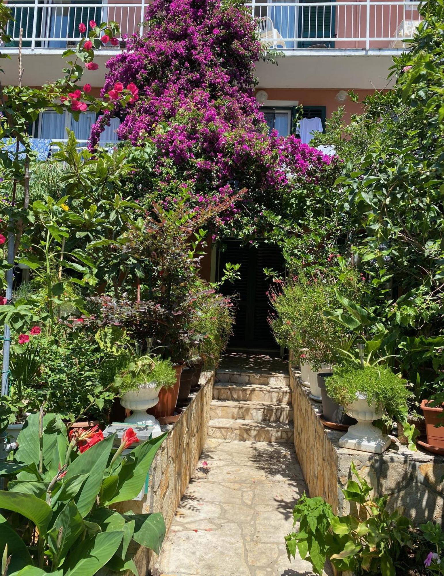 אורביץ Apartmani Dusanka מראה חיצוני תמונה